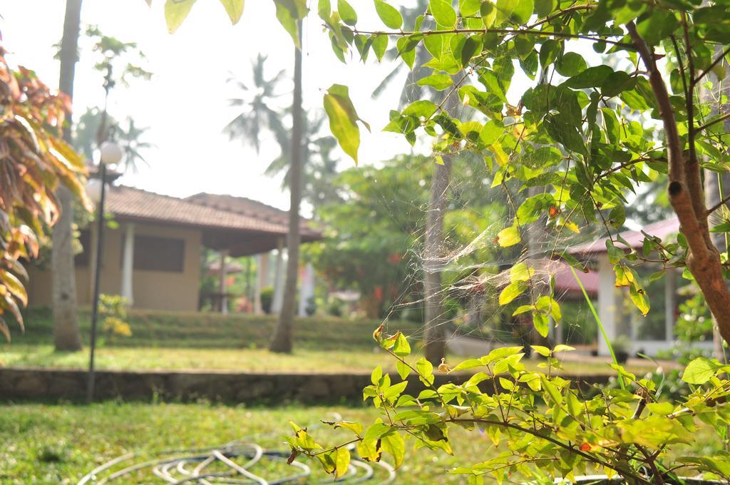 Soba Lanka Holiday Resort Melsiripura Eksteriør bilde