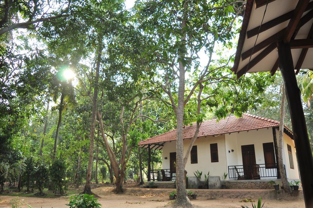 Soba Lanka Holiday Resort Melsiripura Eksteriør bilde