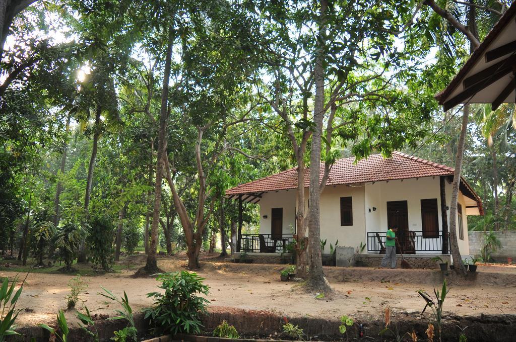 Soba Lanka Holiday Resort Melsiripura Eksteriør bilde