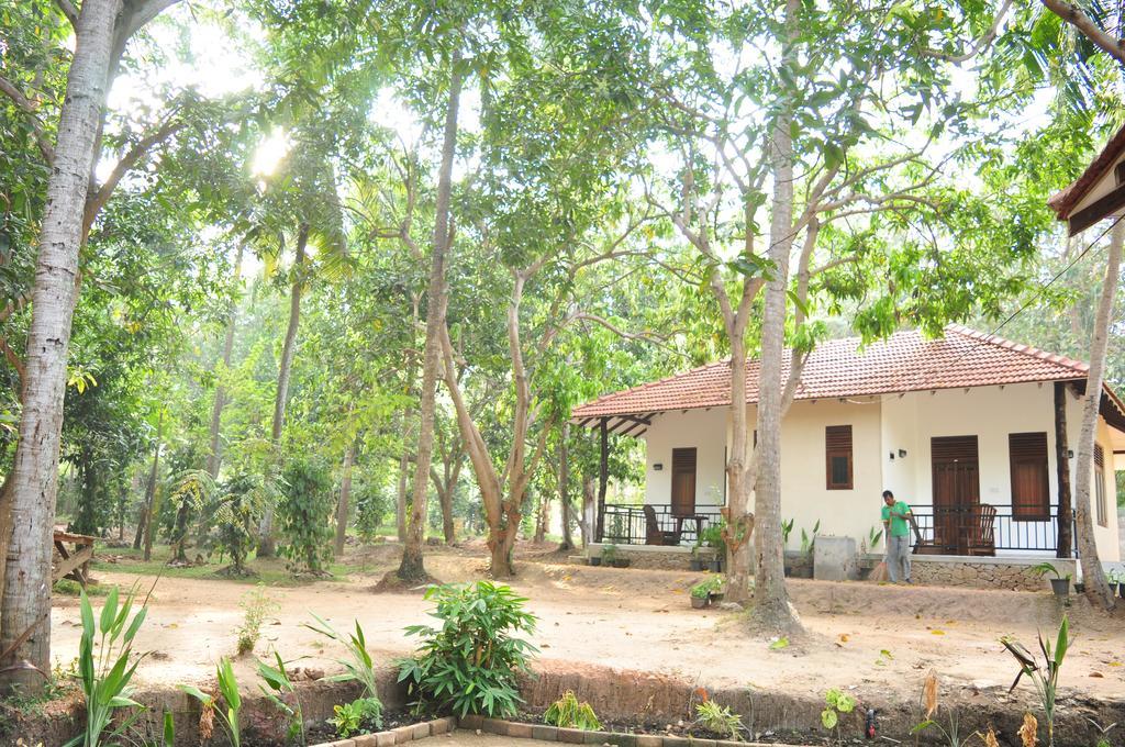 Soba Lanka Holiday Resort Melsiripura Eksteriør bilde