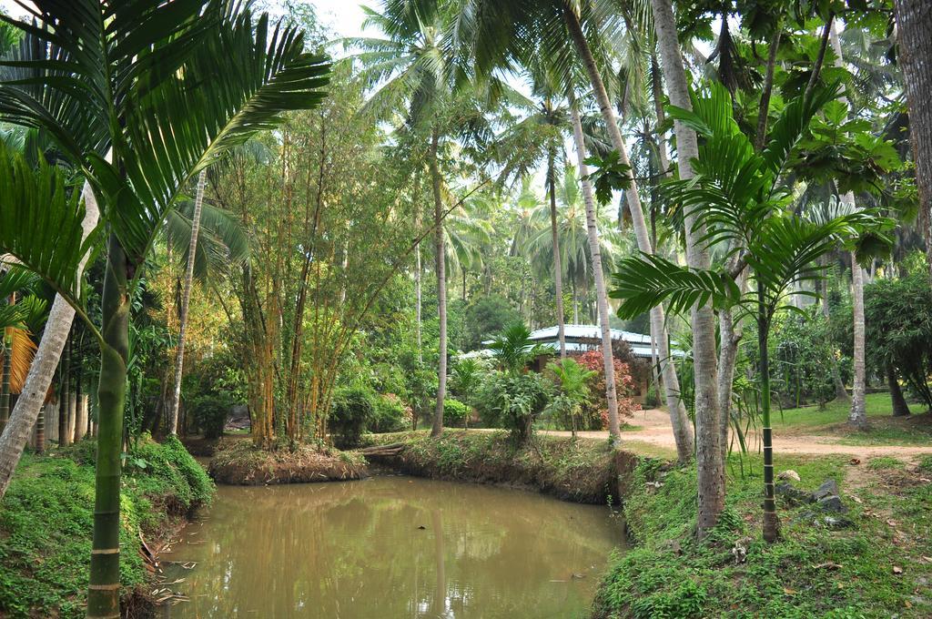 Soba Lanka Holiday Resort Melsiripura Eksteriør bilde