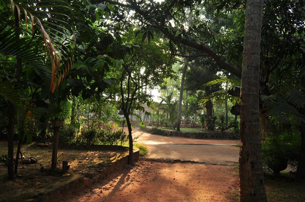 Soba Lanka Holiday Resort Melsiripura Eksteriør bilde