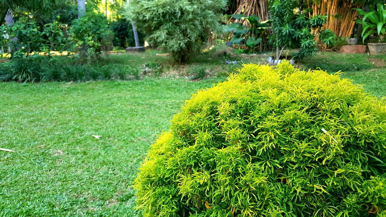 Soba Lanka Holiday Resort Melsiripura Eksteriør bilde