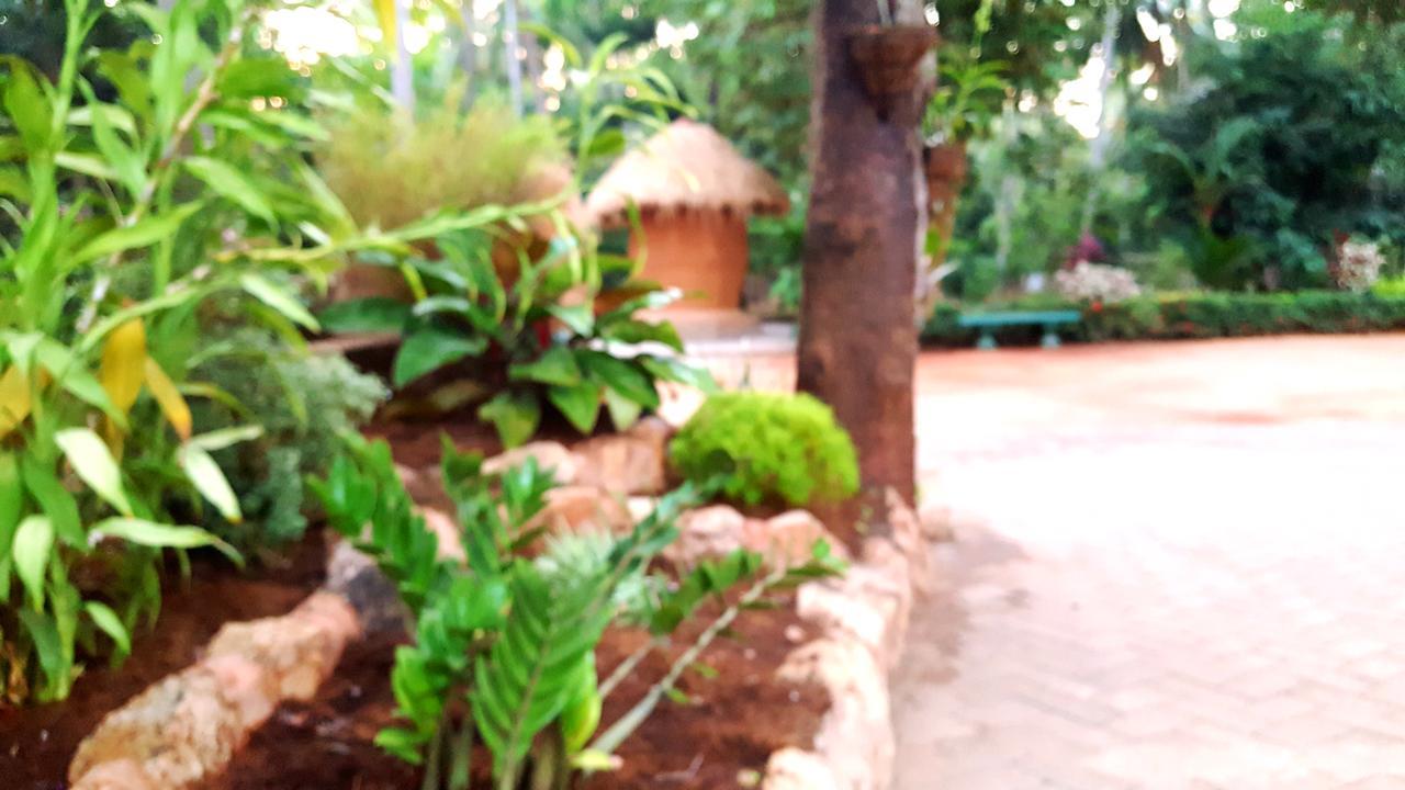 Soba Lanka Holiday Resort Melsiripura Eksteriør bilde