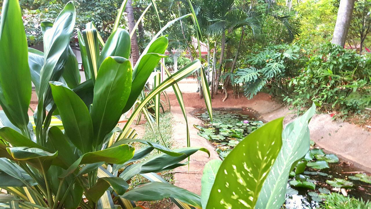 Soba Lanka Holiday Resort Melsiripura Eksteriør bilde