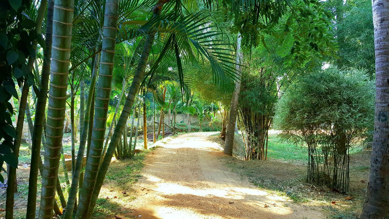 Soba Lanka Holiday Resort Melsiripura Eksteriør bilde