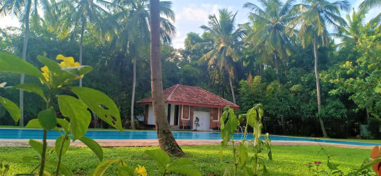 Soba Lanka Holiday Resort Melsiripura Eksteriør bilde
